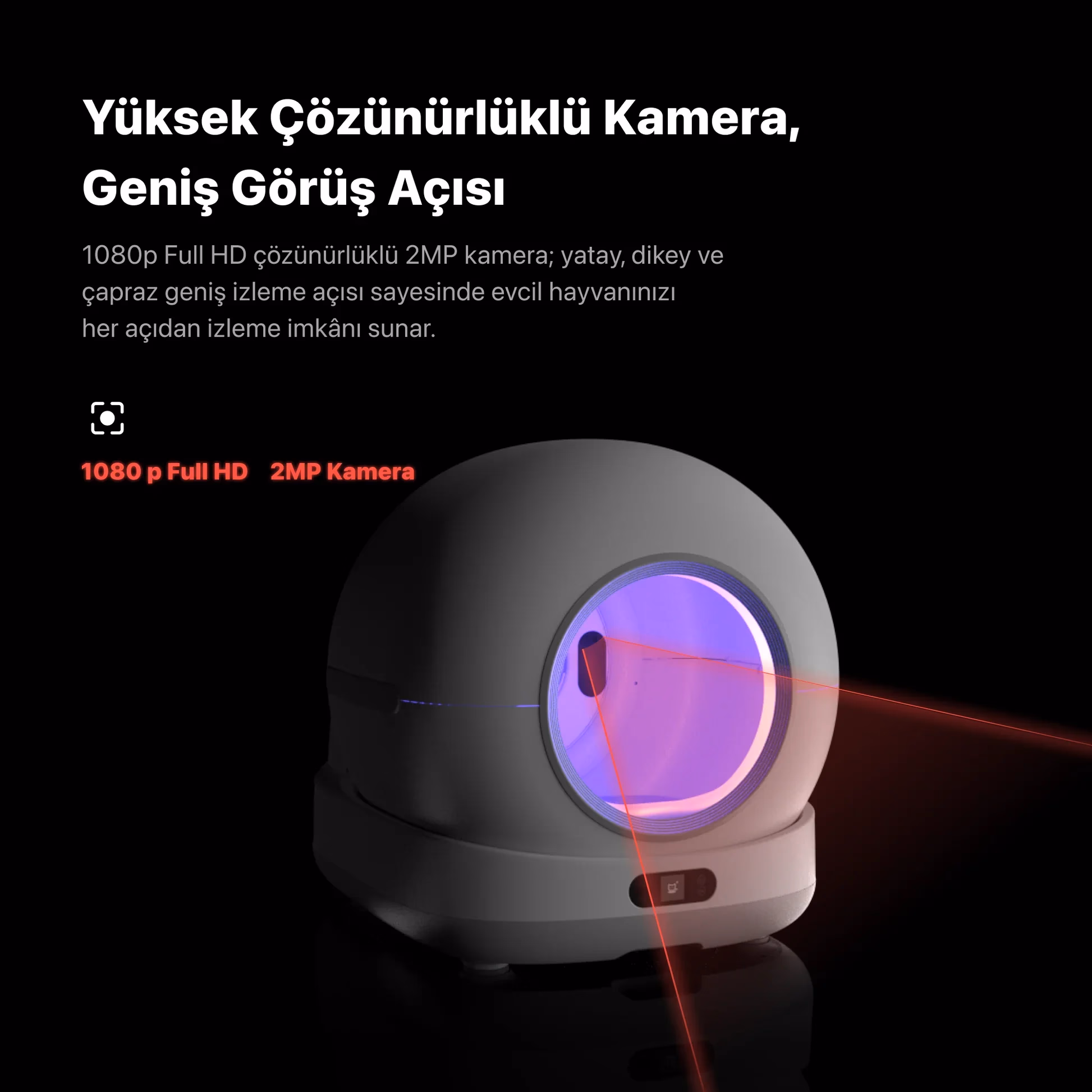 zs5.webp 4